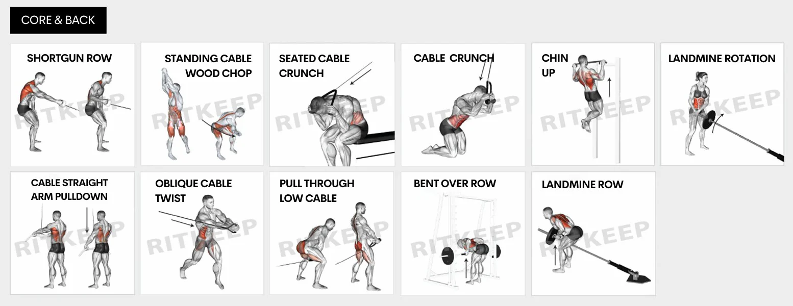 ExerciseBanner-BicepBack-2-PC_1600x