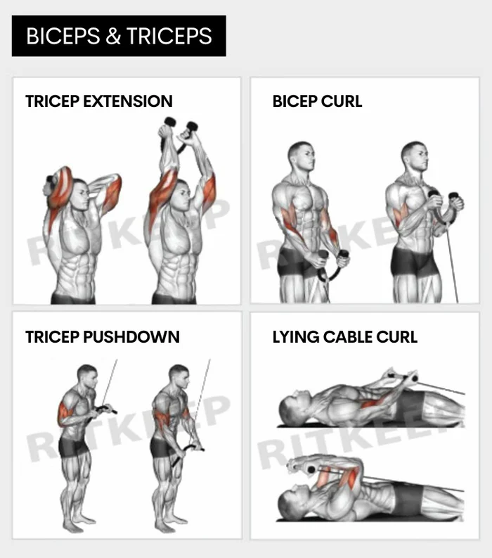 ExerciseBanner-BicepMuscle_700x
