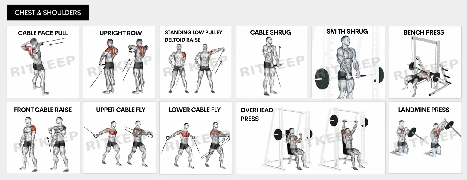 ExerciseBanner-ChestShoulders-PC_1600x