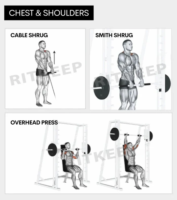ExerciseBanner-Chest_Shoulders_700x
